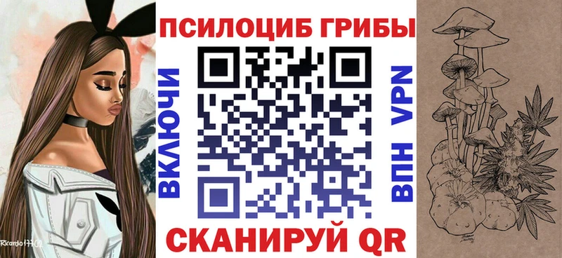 Псилоцибиновые грибы прущие грибы  сколько стоит  Шахты 
